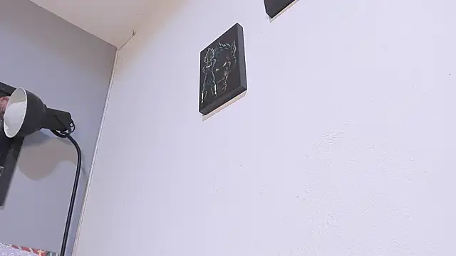 damn fox online show from 12-11-24, 06:25