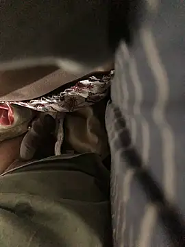 CoolBiDude online show from 12-26-24, 06:12