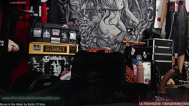 Silentmary online show from 12-15-24, 11:42