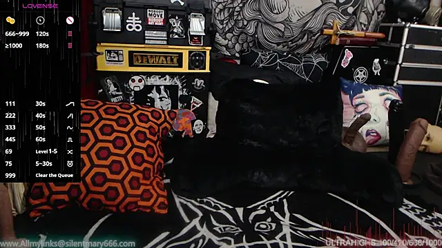Silentmary online show from 12-28-24, 07:43