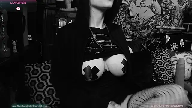 Silentmary online show from 01-22-25, 01:10