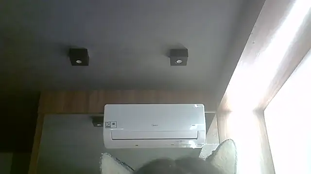 Skinny-Kitten online show from 04-03-26, 09:40