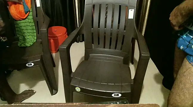 Snapshot of indian2 chatting on 12-21-24, 04:46 indian2 online show from 12-21-24, 04:46