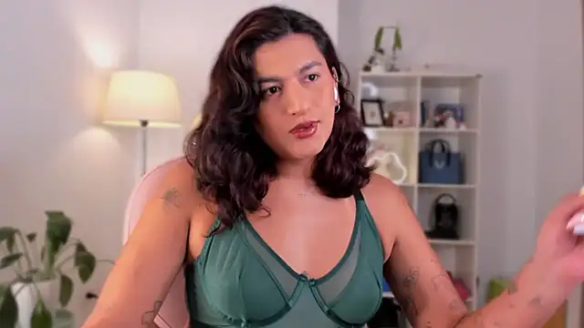 Snapshot of ari_artis chatting on 02-13-25, 01:40 ari artis online show from 02-13-25, 01:40