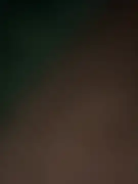 Terrafirma online show from 02-16-25, 11:49