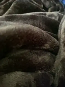 Snapshot of ft2022W chatting on 03-07-26, 06:16 ft2022W online show from 03-07-26, 06:16