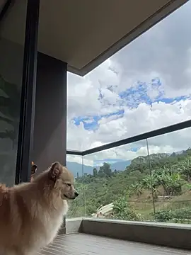 Snapshot of Helenbronwx chatting on 01-06-25, 06:52 Helenbronwx online show from 01-06-25, 06:52