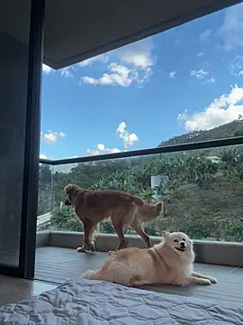 Snapshot of Helenbronwx chatting on 01-17-25, 09:28 Helenbronwx online show from 01-17-25, 09:28