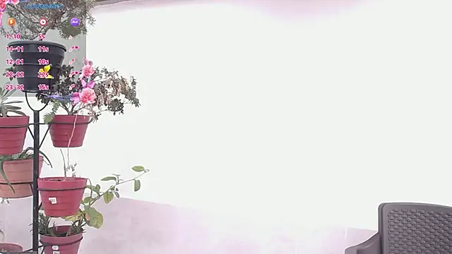 darshajaya online show from 03-17-26, 07:39