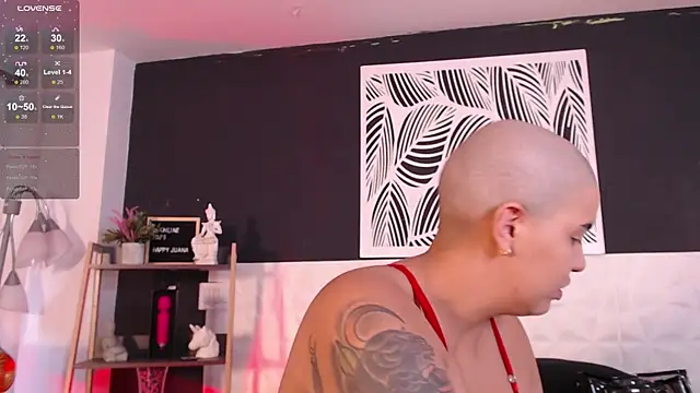 WildyTemping online show from 03-01-25, 04:11