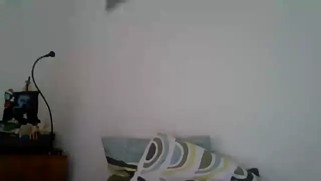 joaodias 97 online show from 02-17-25, 02:26