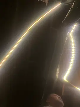 bigzae82 online show from 01-13-25, 05:44