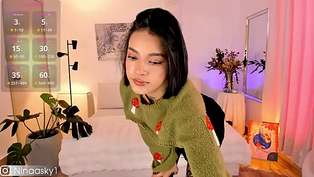 Snapshot of ninaa_sky chatting on 01-16-25, 01:04 ninaa sky online show from 01-16-25, 01:04