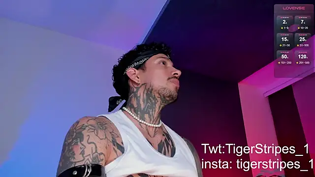 TigerStripes1  online show from 03-11-25, 10:42