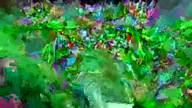 bigdon5169 online show from 05-01-26, 02:54